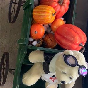 Meet your Posher, Diane